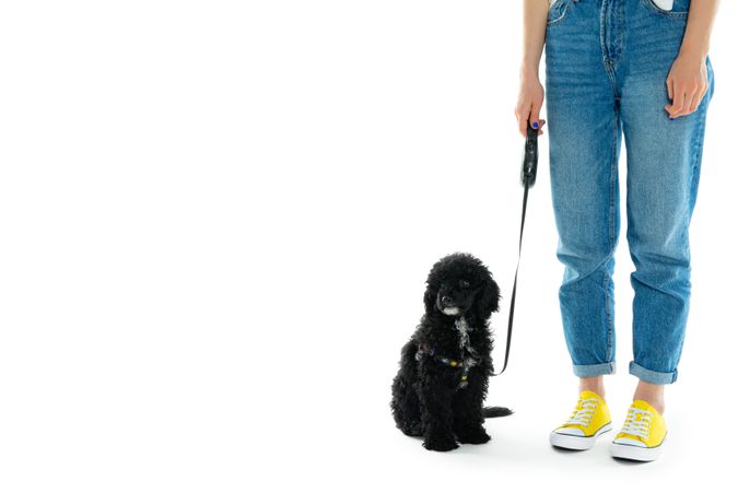 Woman with dog on leash
