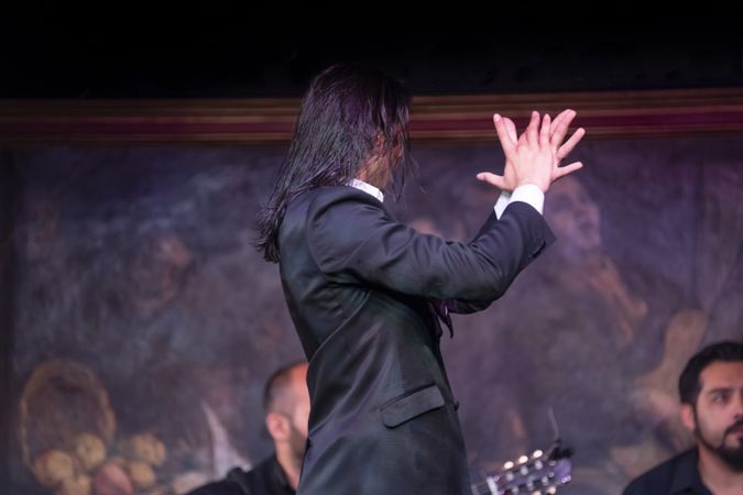 Flamenco performance on stage