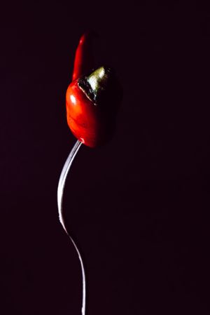 red chili pepper in fork on a dark background