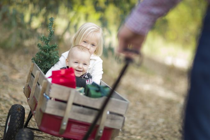 Baby Brother and Sister Pulled in Wagon with Christmas Tree