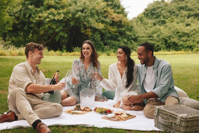 Group of friends having a picnic party