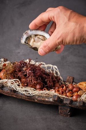 Fresh yummy opened oyster served in restaurant