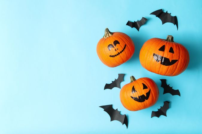 Halloween pumpkins and paper bats on blue background