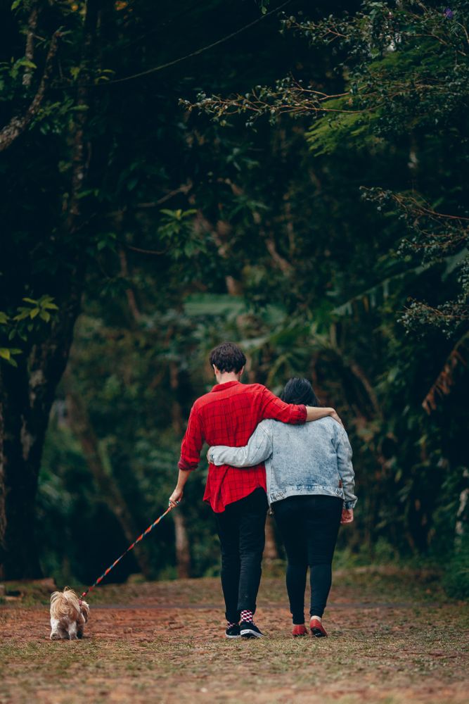 Back view of man and woman walking the dog in the woods during daytime