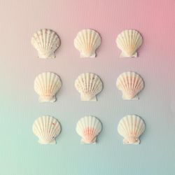 Seashell pattern on gradient pastel pink and blue background