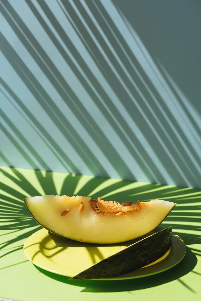 Melon toad skin cut into slices Colorful summer theme