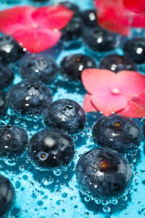 Blueberries soaking in sparkling water with flowers