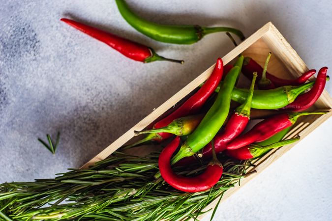 Red & green hot chilli pepper with rosemary