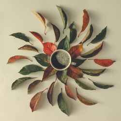 Autumn leaves and coffee cup on light table