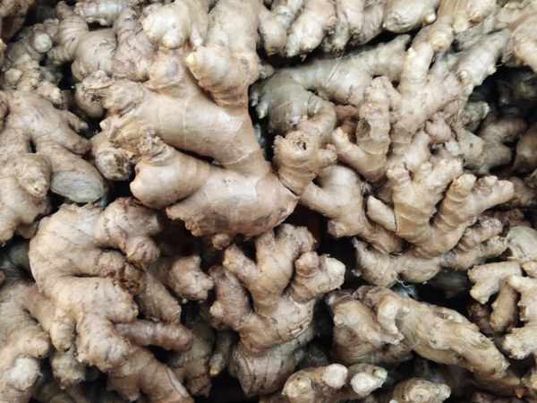 ginger texture