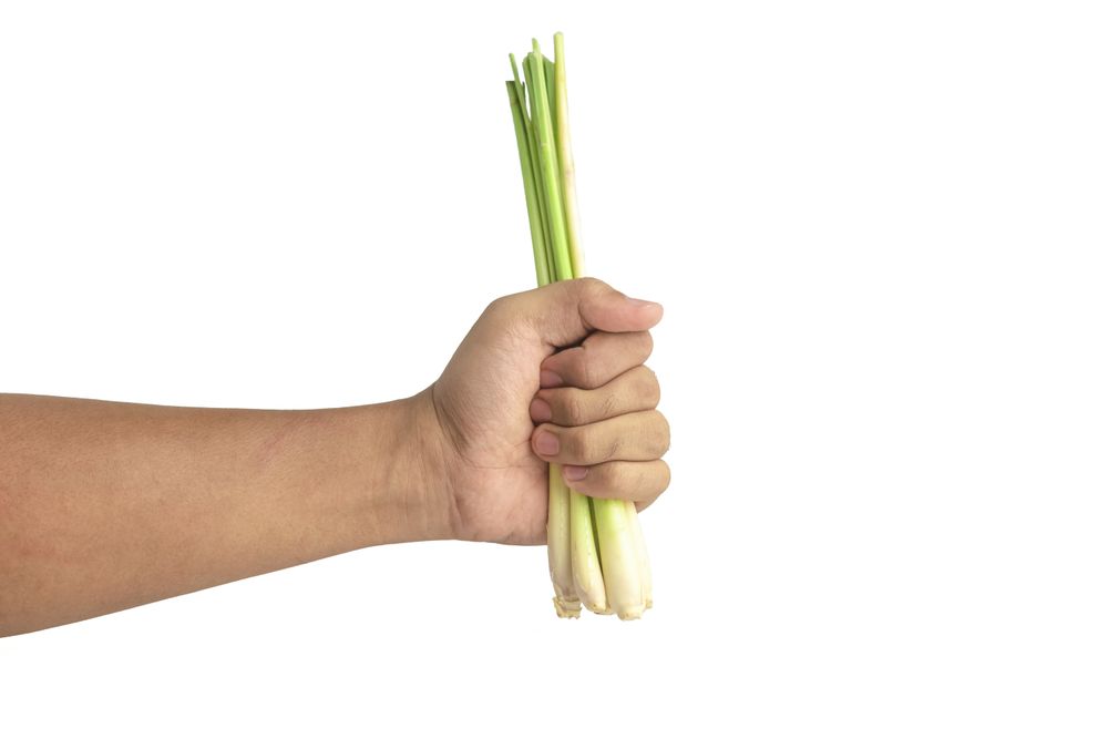 lemongrass