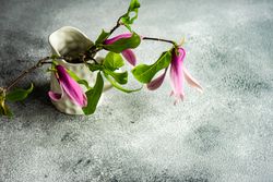 Floral frame with magnolia in vase