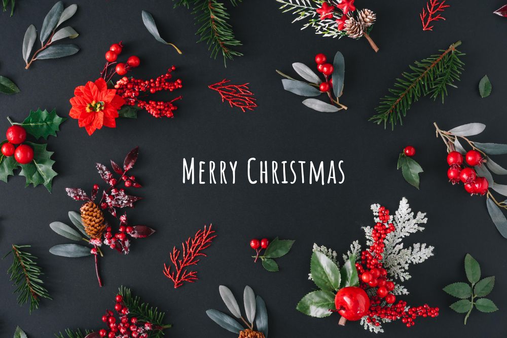 “Merry Christmas” surrounded with branches with mistletoe and pine on dark background
