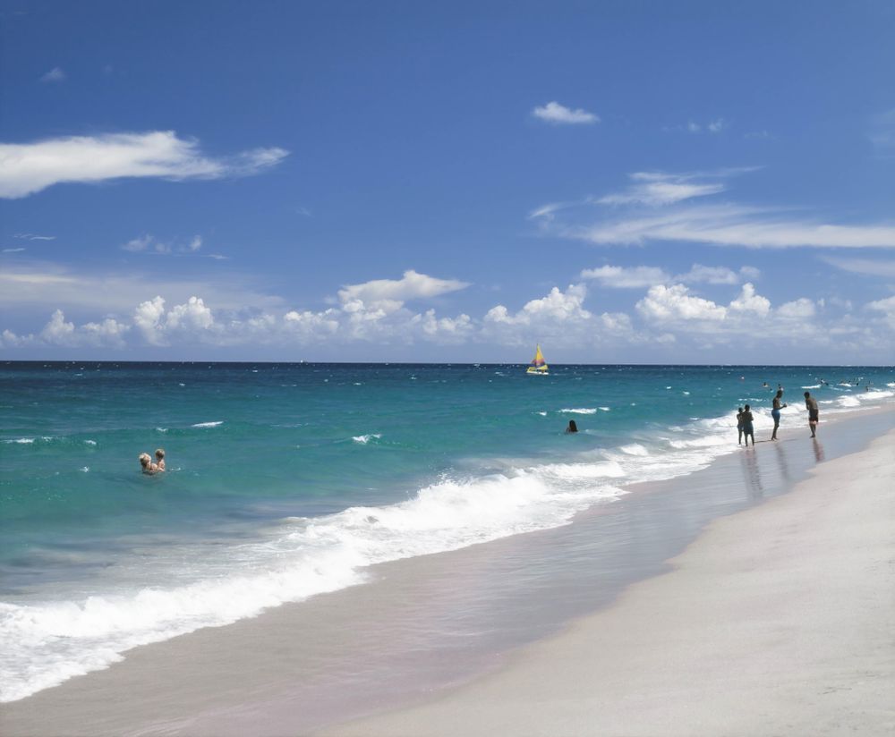 People on beach during daytime