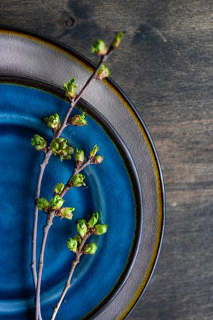 Top view of blue plate table setting with cherry blossom