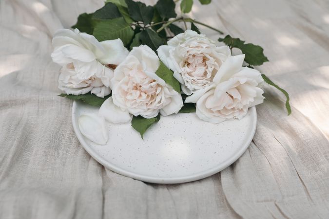 Beautiful pink nude colored roses on speckled plate