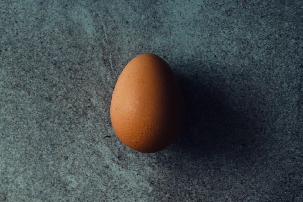 Brown egg top view on stone background