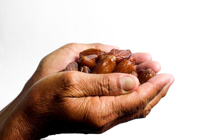 Hand hold date fruit on isolated plain background