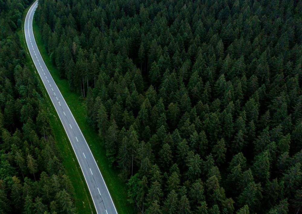 Aerial view of a winding road passing through a forest in Upper Bavaria, Germany