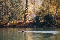 Woman swimming in lake