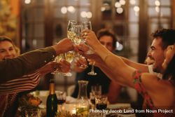Group of people toasting drinks at a dinner party 5pqYy4