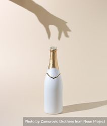 Champagne bottle with woman’s hand shadow 0L1ZD5