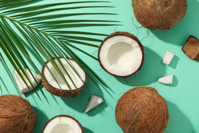 Flat lay with coconut and palm branch on mint background, top view