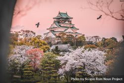 Exterior view of Osaka Castle Park in Japan at sunset 49Y8n4