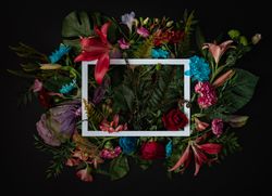 Colorful spring flowers of red, blue, pink, cream around paper square outline