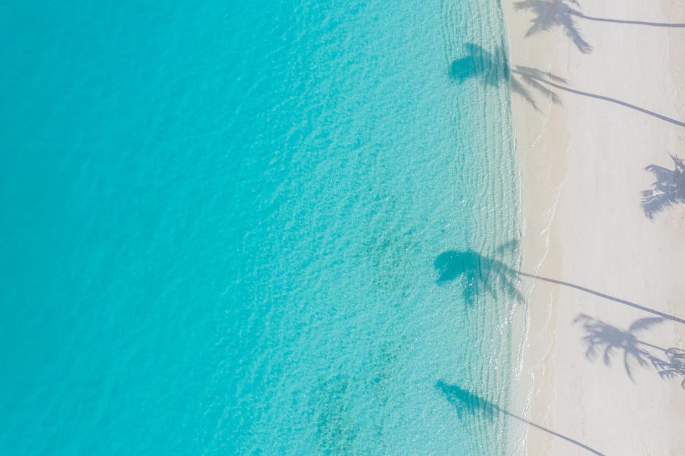 Palm tree shadows on tropical blue water
