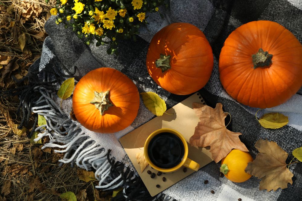 Cozy autumn concept with pumpkins outdoor, top view