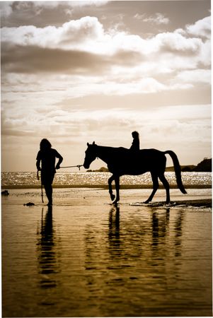 Silhouette of person riding horse on beach during sunset