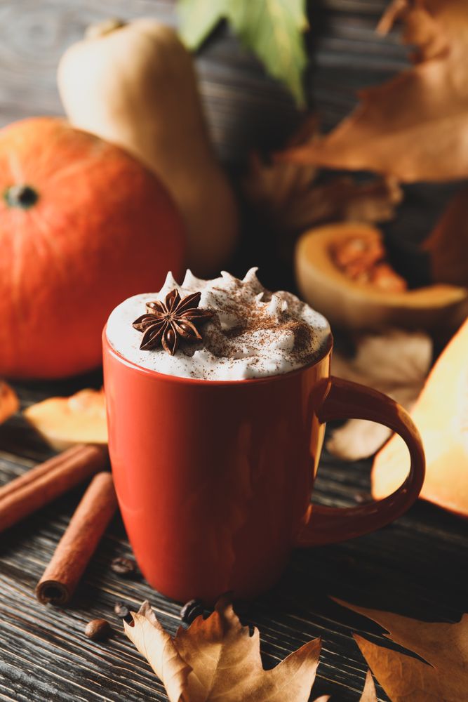 Composition with cup of pumpkin latte, cinnamon and pumpkin on wooden background