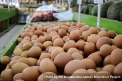 Eggs on display for sale in market 5ngP76