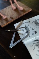 Close up of calipers for clay and animal anatomy book