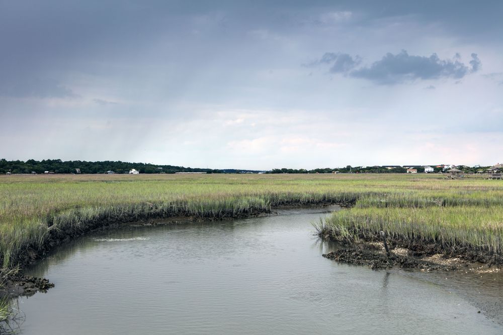 Scene on marshy Pawley's Island, a barrier island in Georgetown County, South Carolina