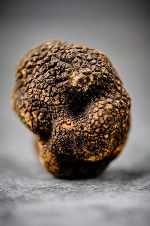 Fresh Italian Truffle