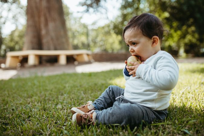 Young toddler sitting on grass eating apple