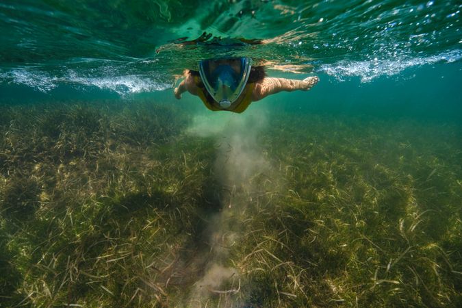 Unrecognizable person swimming in blue sea