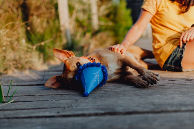 Casual young woman resting next to brown dog with party hat