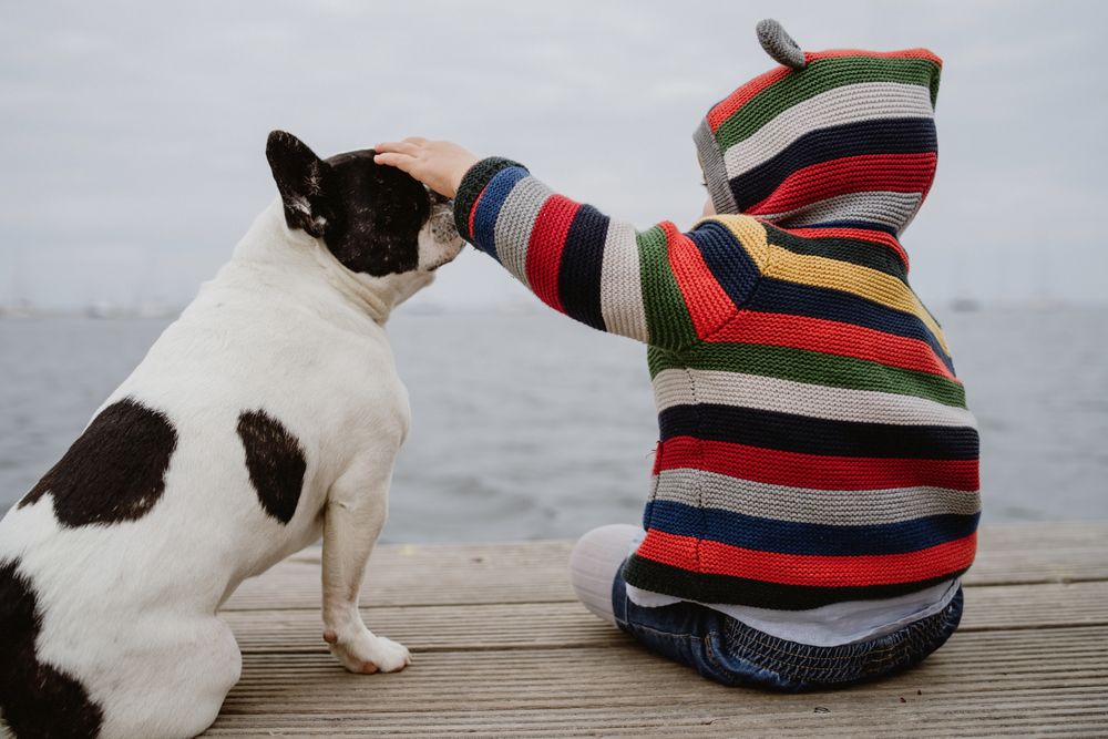 Anonymous kid petting dog on pier