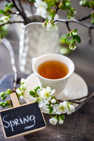 Tea time spring concept