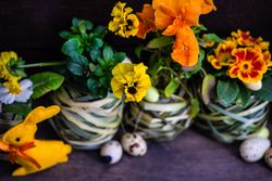 Easter holiday card concept with pots of bright flowers and decorative eggs and rabbit