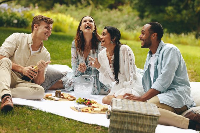 Multi-ethnic people enjoying picnic at the park