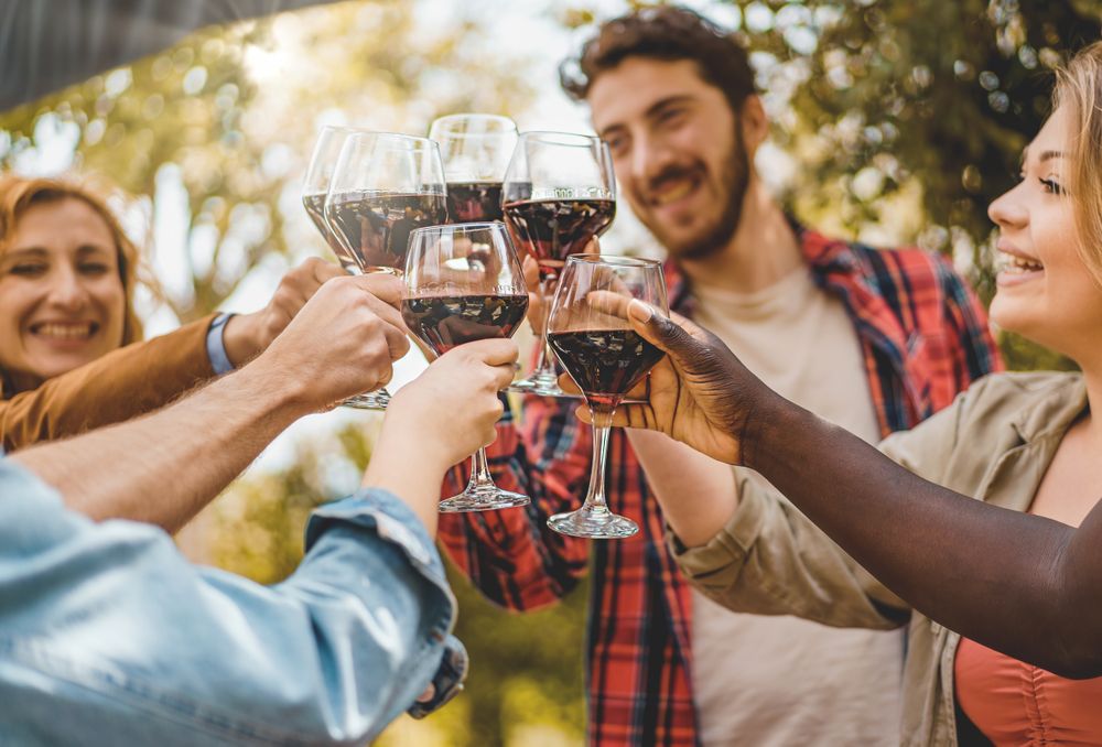 Happy group of friends cheerfully toasting with glasses of red wine, enjoying a sociable moment outdoors
