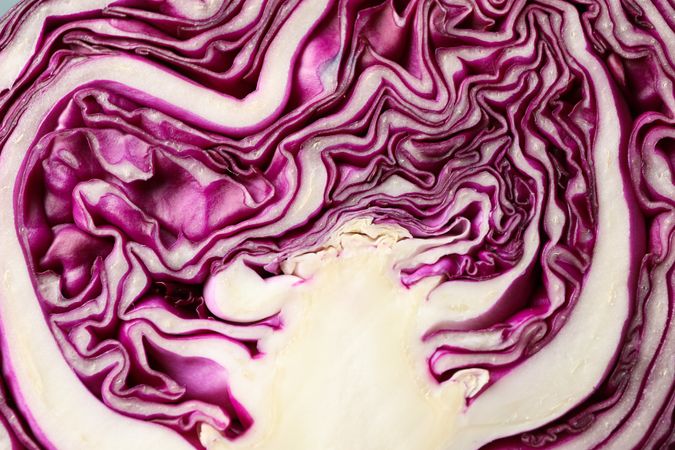 Red cabbage texture on blank background, close up