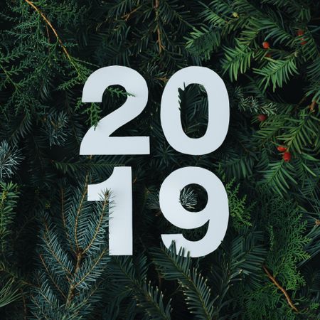 2019 cut out of light paper on a green pine background