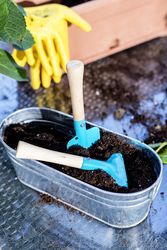 Home gardening equipment on sunny terrace