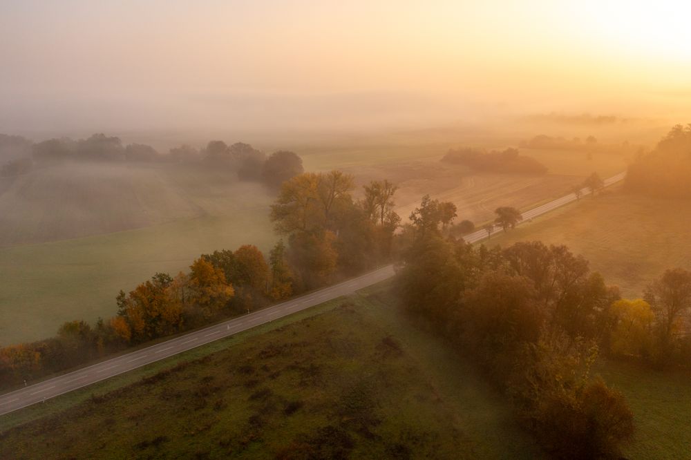 Drone aerial image with multicolored forest and a road on a foggy morning of autumn