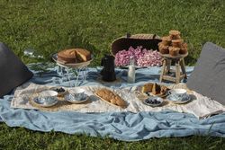 Tea party with deserts on blanket at summer garden